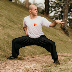 Quais são as Posturas Básicas do Kung Fu?