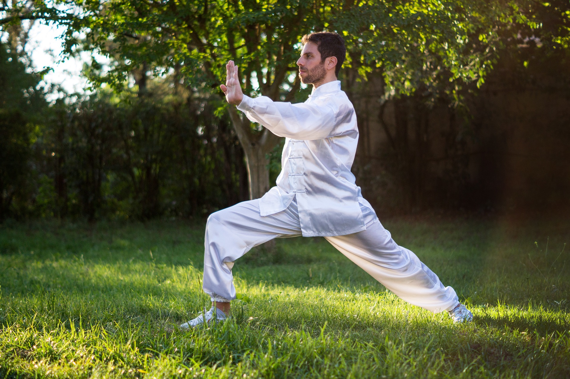 Origem do Tai Chi Chuan Conheça a lenda e a história