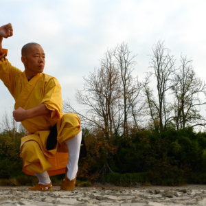 Monge Shaolin em uma postura baixa de Kung Fu