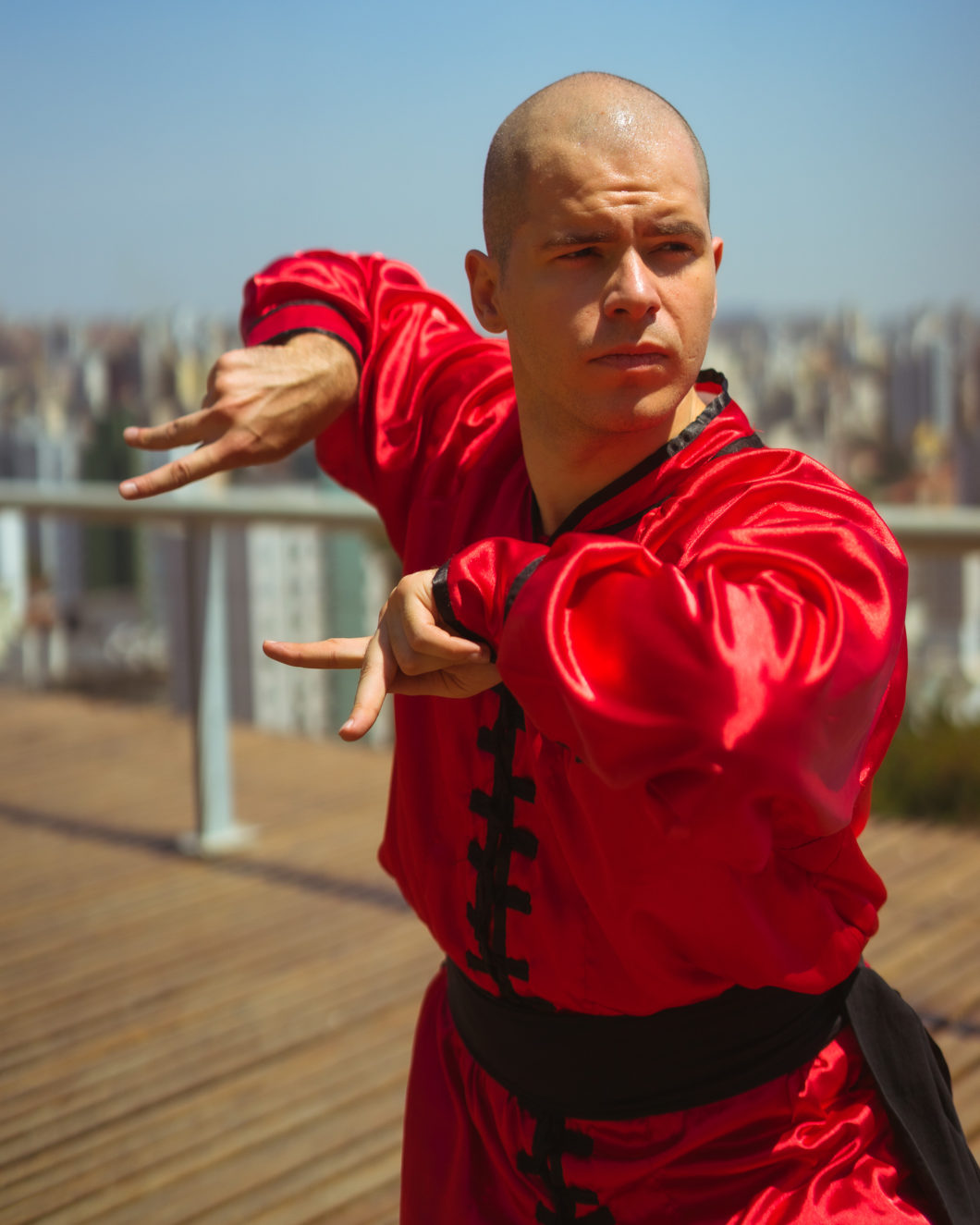 Kung Fu Louva-a-deus - Entenda tudo sobre os princípios desse estilo!