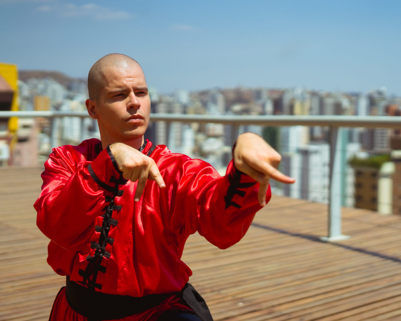 Kung Fu Louva-a-deus - Entenda tudo sobre os princípios desse estilo!