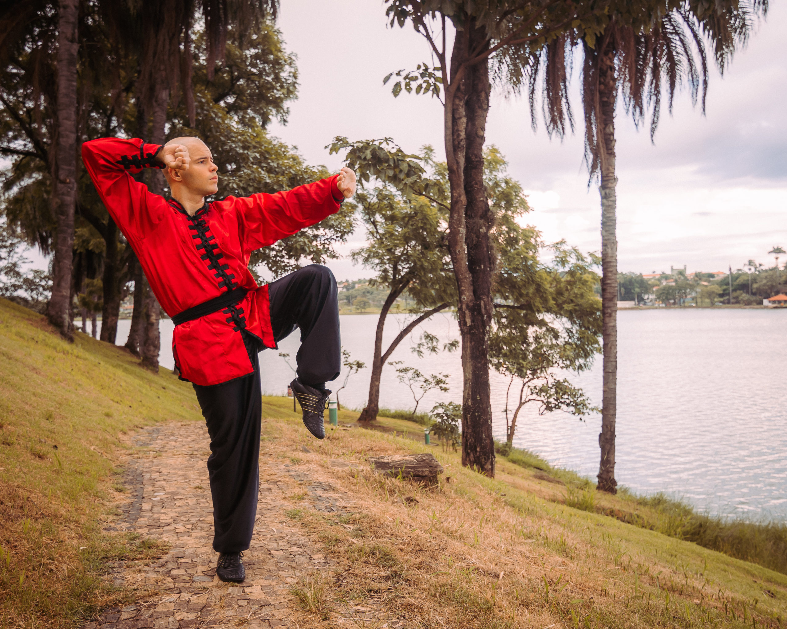 Kung Fu em casa - Descubra o passo a passo para treinar a distância